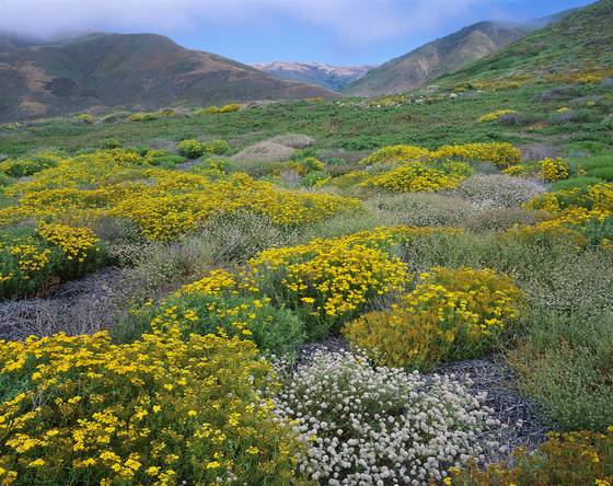 Coastal_range