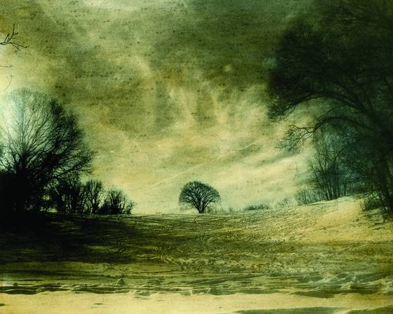 Winter_scene
