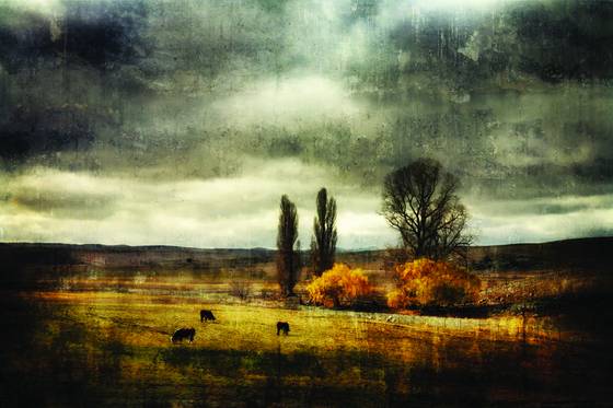 Autumn_on_the_monaro
