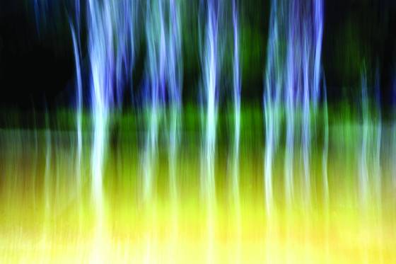 Trees_and_river