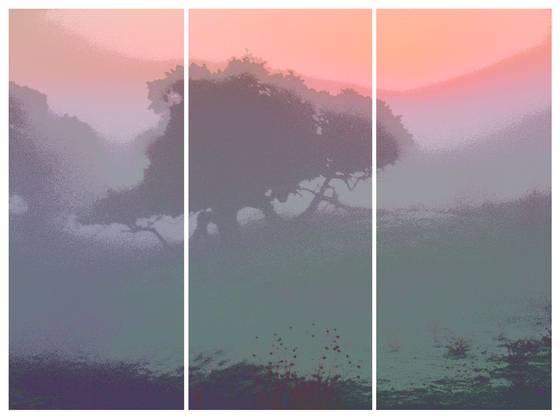 Morning_light_12