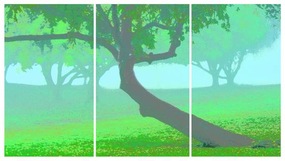 Morning_light_16