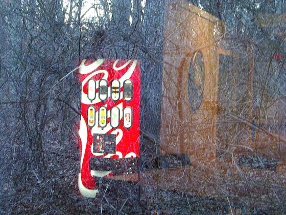 Coke_in_the_woods__41