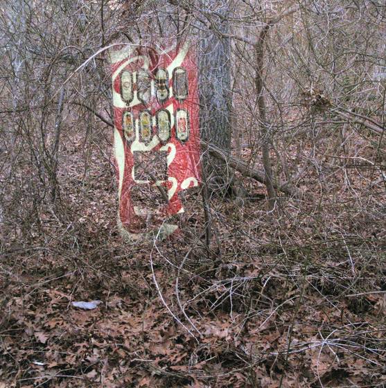 Coke_in_the_woods__44