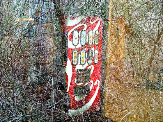 Coke_in_the_woods__8