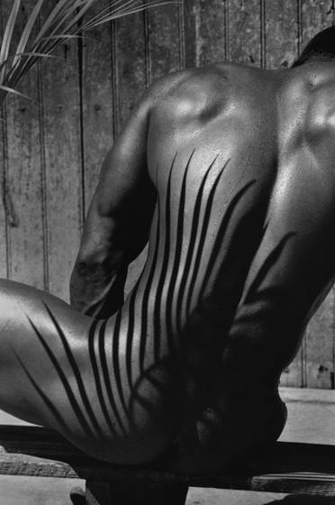 Palm_leaf