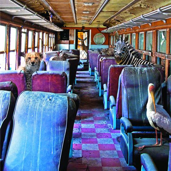 Farsafari_series__-_rail_riders