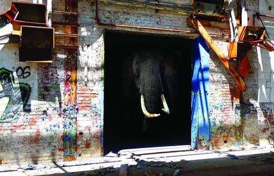 Farsafari_series_-_elephant_house