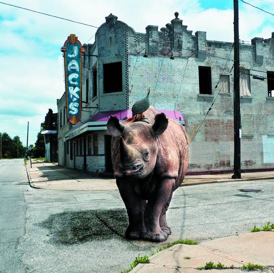 Farsafari_series_-_going_home_from_jack_s