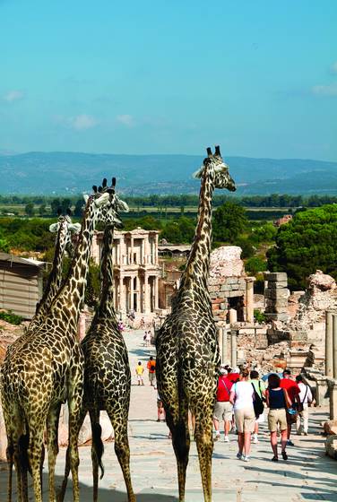 Farsafari_series_-_return_to_ephesus
