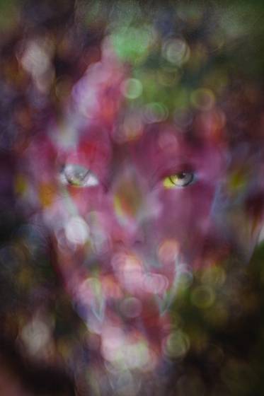 Torment_3