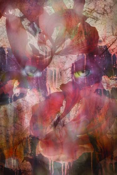 Torment_5