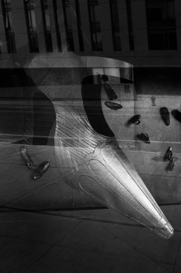 Reflections__1