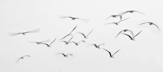 In_flight