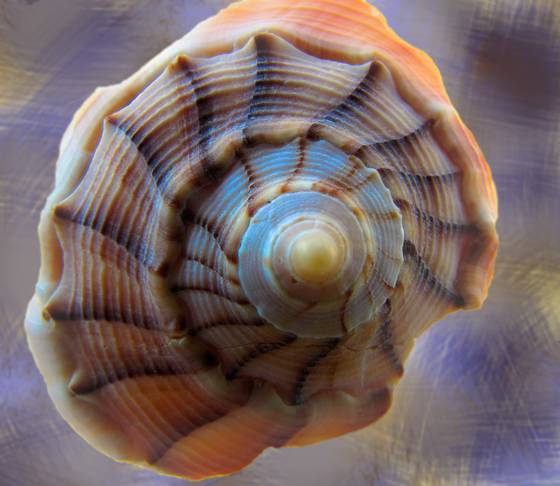 Blue_swirl