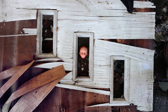 Doll_head_in_window