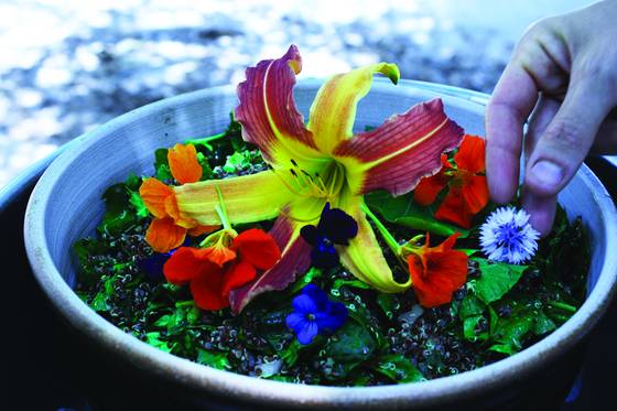 Quinoa_salad