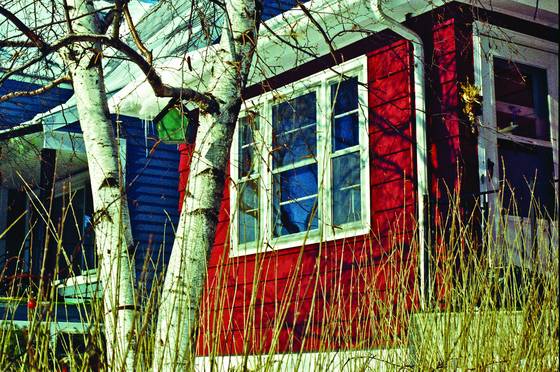 Green_birdhouse