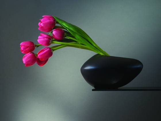 Pink_tulips