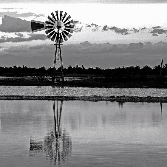 Reflexo