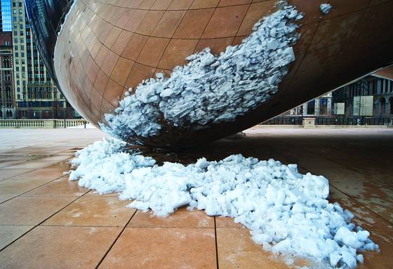 The_bean_6
