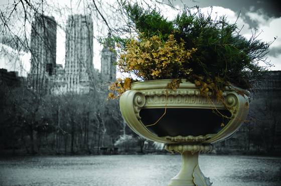 Copy_of_central_park