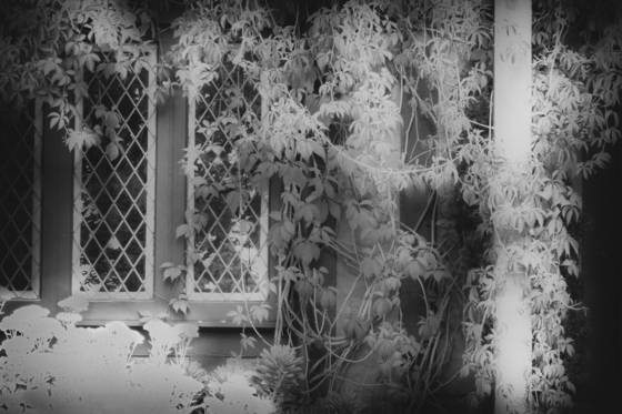 Dream_house