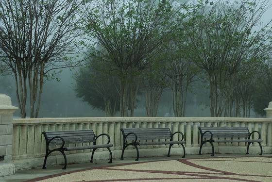 Benches