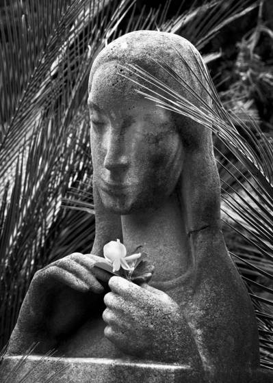Untitled_2