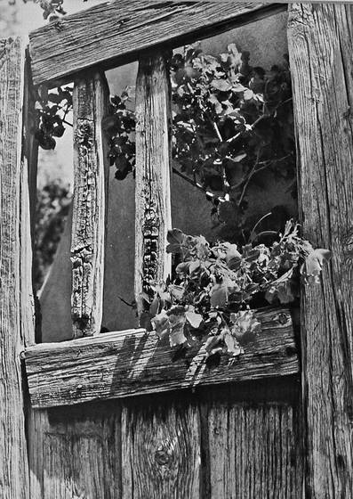 Flowers_on_door