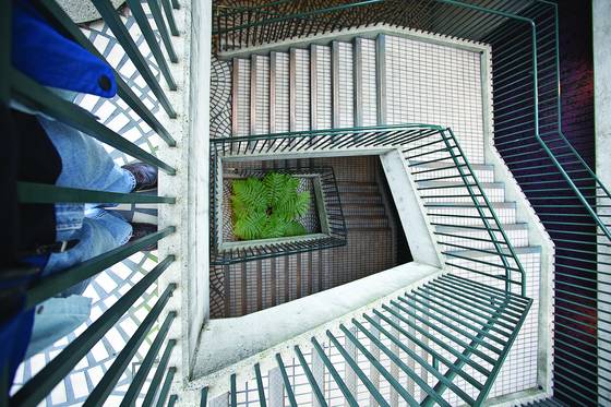 Feet_on_staircase