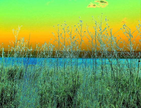 Kansas_scene