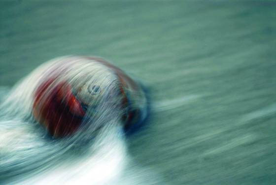 Water_over_sea_shell