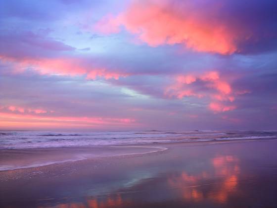Under_a_salmon_sky