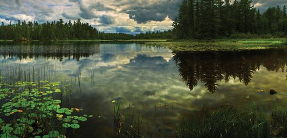 Wilderness_bay