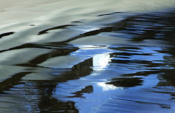 Shimmery_puddles