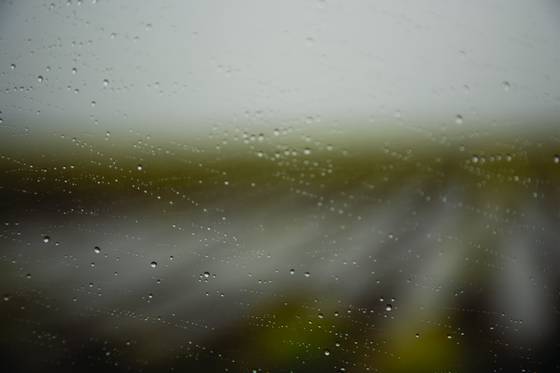 Flooded_fields