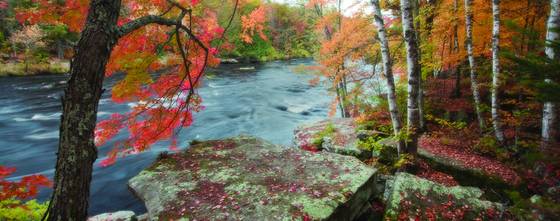 Dreaming_of_autumn__banning_state_park