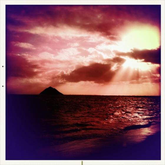 Polarized