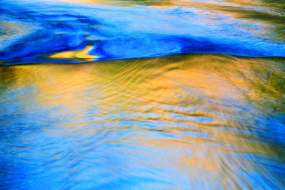 Blue_and_gold