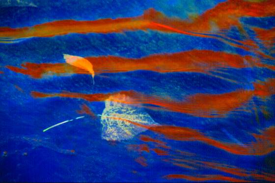 Flaming_reflections