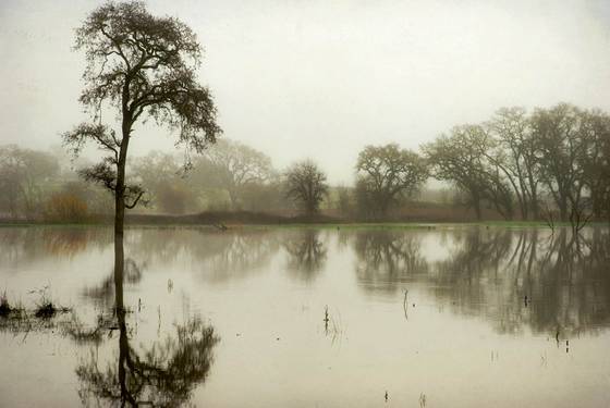 Laguna_4
