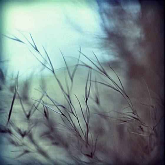 Whispered_softly