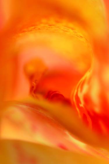 Inner_chamber
