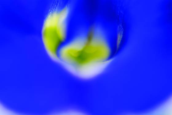 Inside_blue