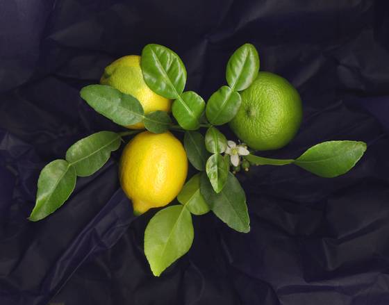 Citrus_with_kafir_leaves