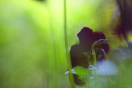 Untitled_4