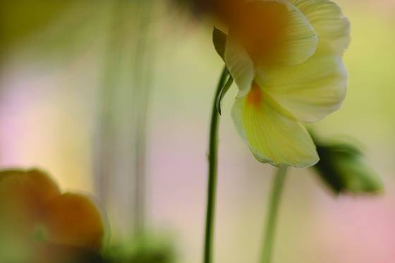 Untitled_7