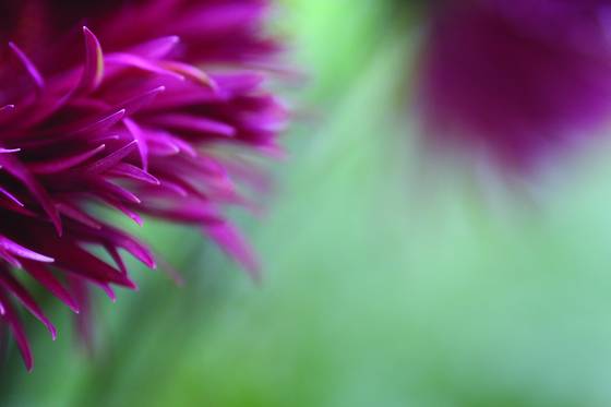 Untitled_8