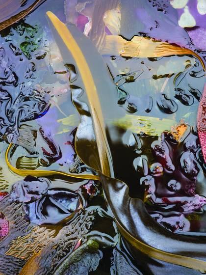 Kelp_abstraction_2